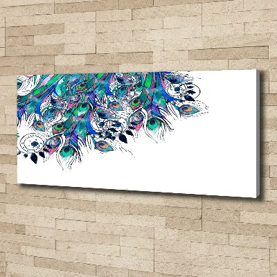 Foto quadro su tela Piume di pavone