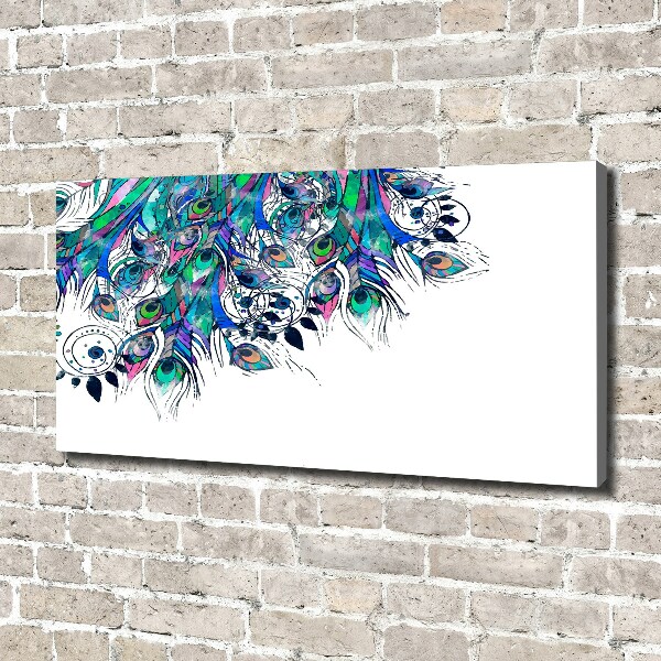 Foto quadro su tela Piume di pavone