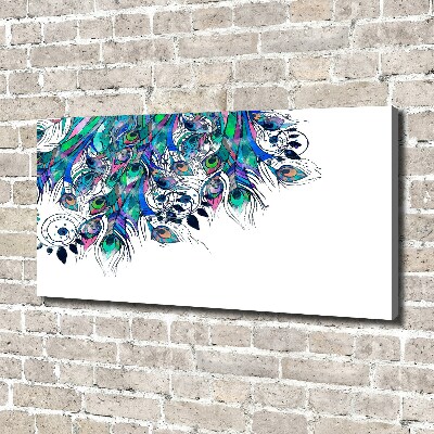 Foto quadro su tela Piume di pavone