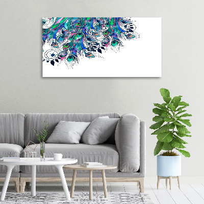 Foto quadro su tela Piume di pavone