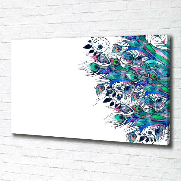 Foto quadro su tela Piume di pavone