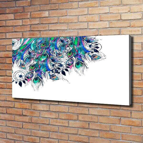 Foto quadro su tela Piume di pavone