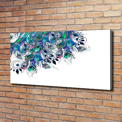 Foto quadro su tela Piume di pavone