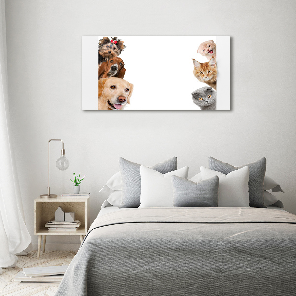 Quadro su tela Cani e gatti