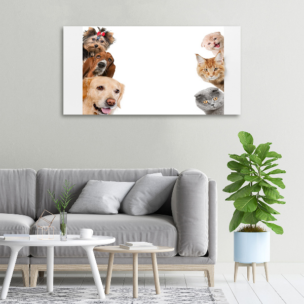 Quadro su tela Cani e gatti