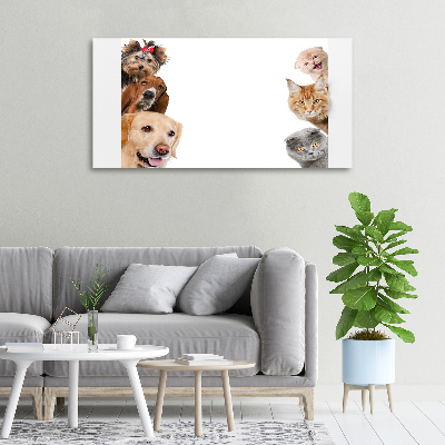 Quadro su tela Cani e gatti