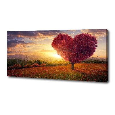 Foto quadro su tela Cuore di campo dell'albero