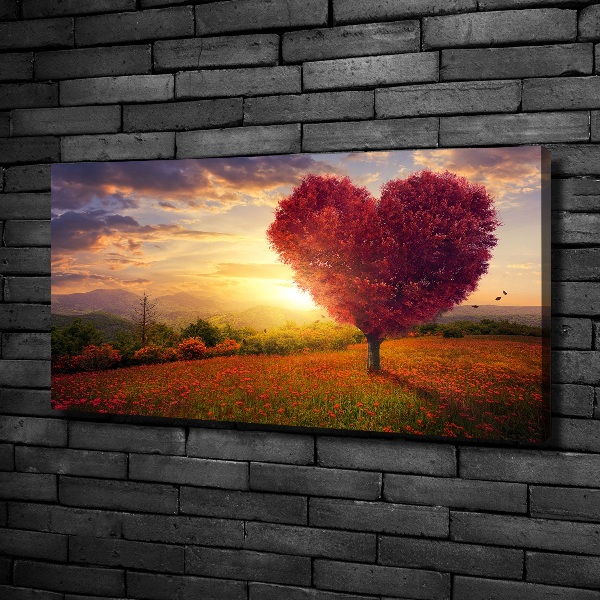Foto quadro su tela Cuore di campo dell'albero