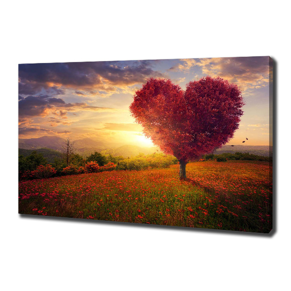 Foto quadro su tela Cuore di campo dell'albero