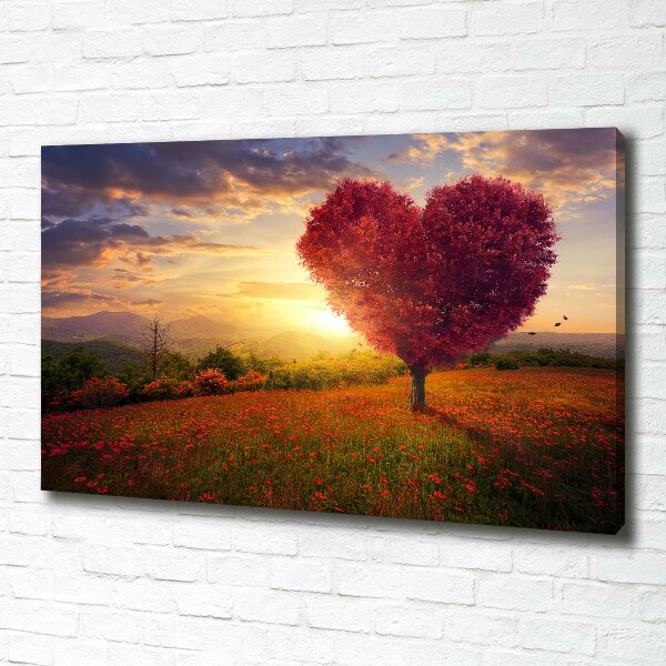Foto quadro su tela Cuore di campo dell'albero