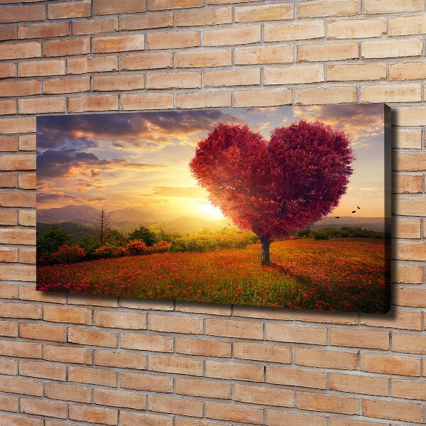 Foto quadro su tela Cuore di campo dell'albero