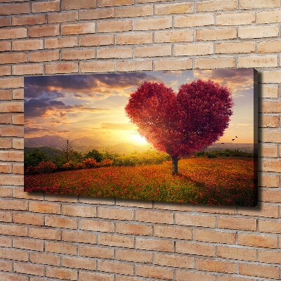 Foto quadro su tela Cuore di campo dell'albero