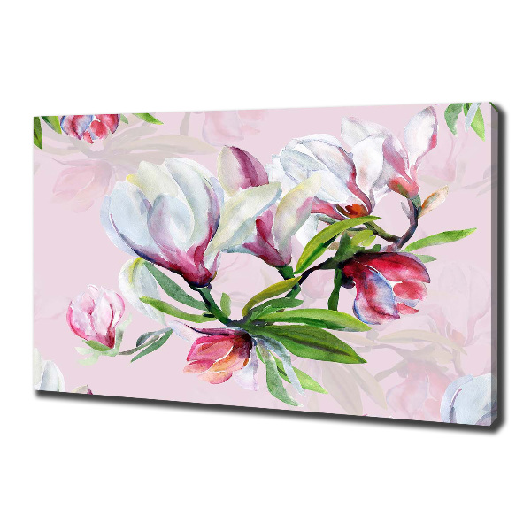 Foto quadro su tela Fiori di magnolia