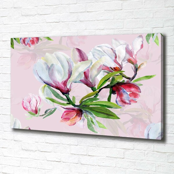 Foto quadro su tela Fiori di magnolia
