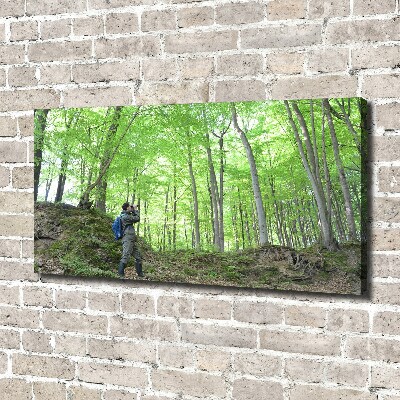 Quadro stampa su tela Ornitologo nella foresta