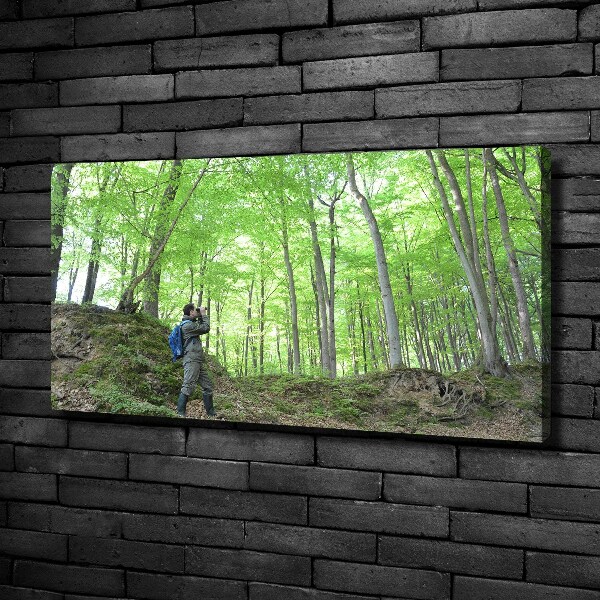 Quadro stampa su tela Ornitologo nella foresta