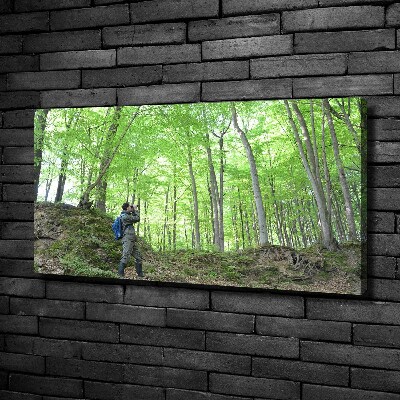 Quadro stampa su tela Ornitologo nella foresta