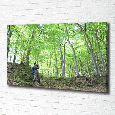 Quadro stampa su tela Ornitologo nella foresta