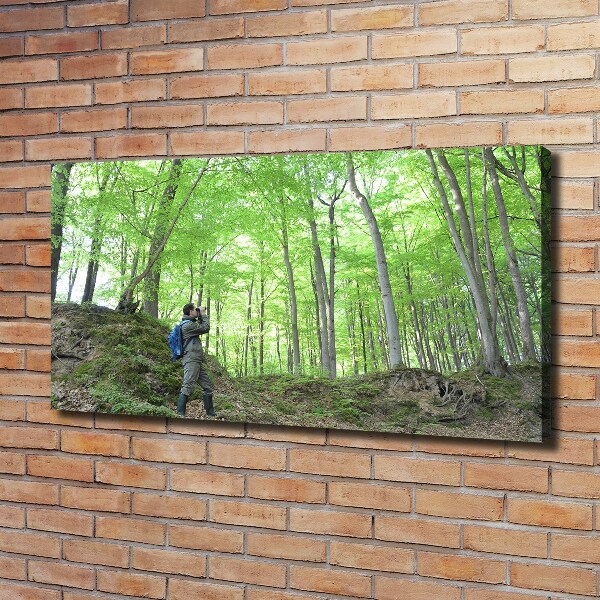 Quadro stampa su tela Ornitologo nella foresta