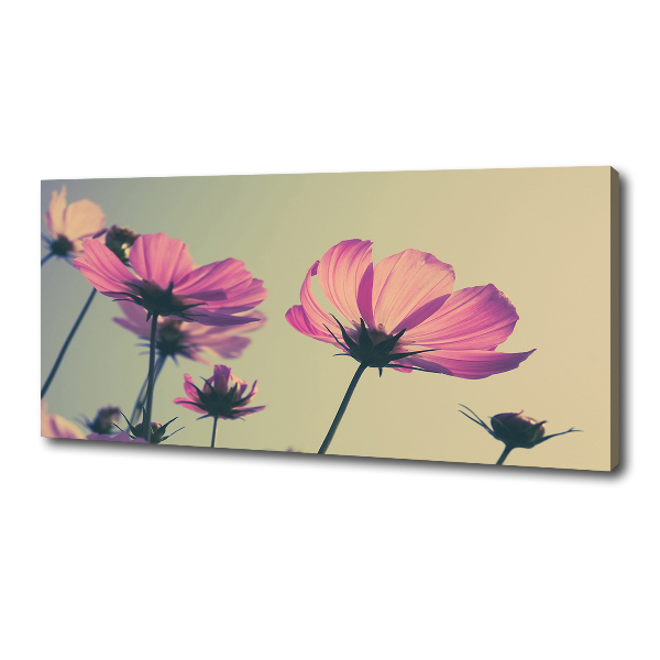 Foto quadro su tela Fiori rosa