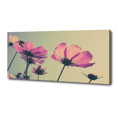 Foto quadro su tela Fiori rosa