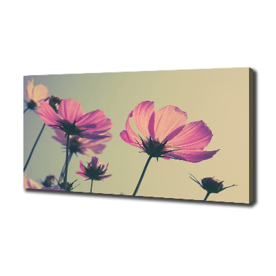 Foto quadro su tela Fiori rosa