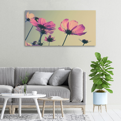 Foto quadro su tela Fiori rosa