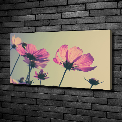 Foto quadro su tela Fiori rosa