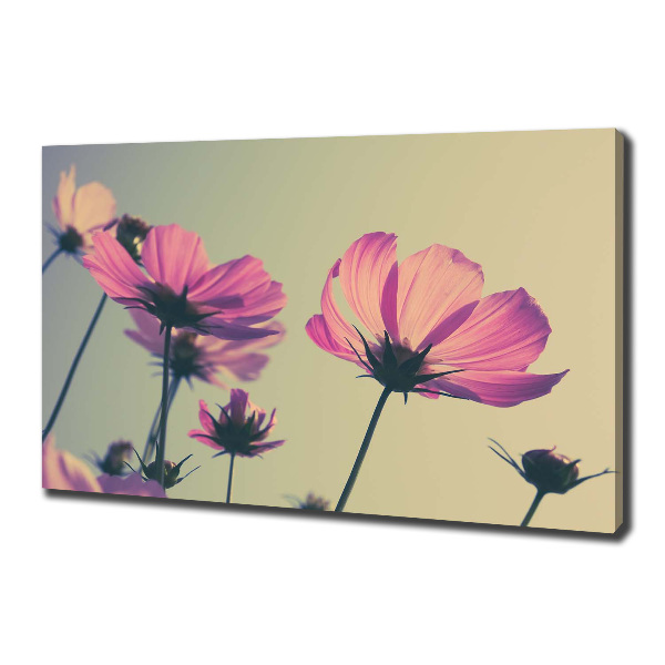 Foto quadro su tela Fiori rosa