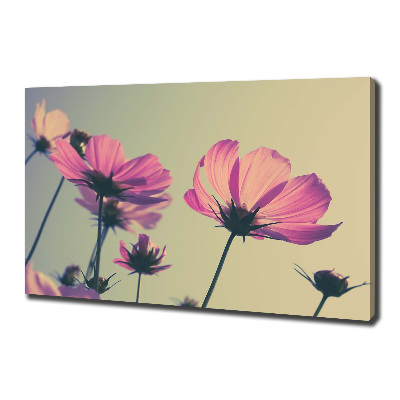 Foto quadro su tela Fiori rosa