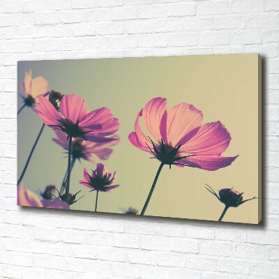 Foto quadro su tela Fiori rosa