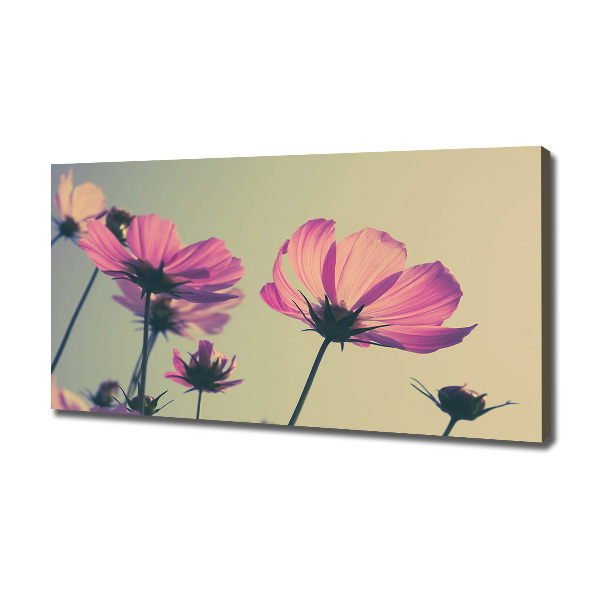 Foto quadro su tela Fiori rosa
