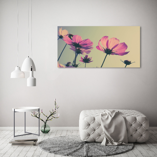 Foto quadro su tela Fiori rosa
