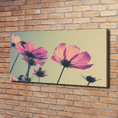 Foto quadro su tela Fiori rosa