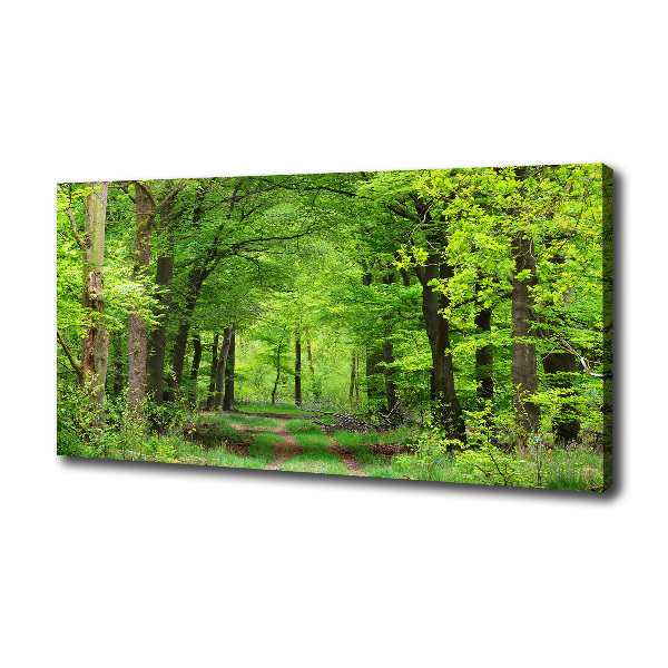 Quadro su tela Foresta primaverile