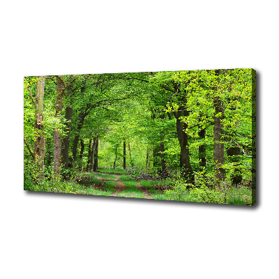 Quadro su tela Foresta primaverile