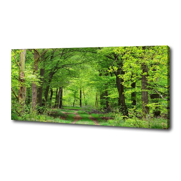 Quadro su tela Foresta primaverile