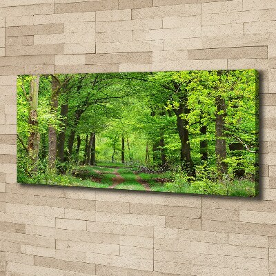 Quadro su tela Foresta primaverile