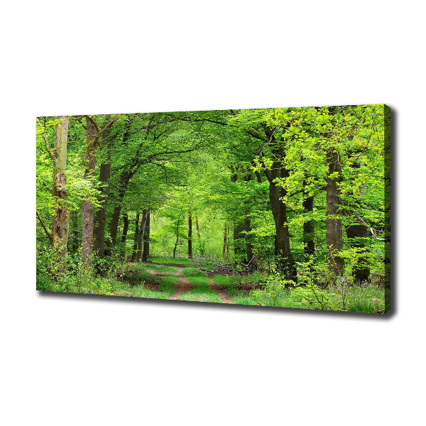 Quadro su tela Foresta primaverile