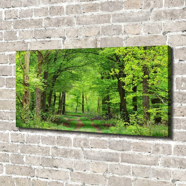 Quadro su tela Foresta primaverile