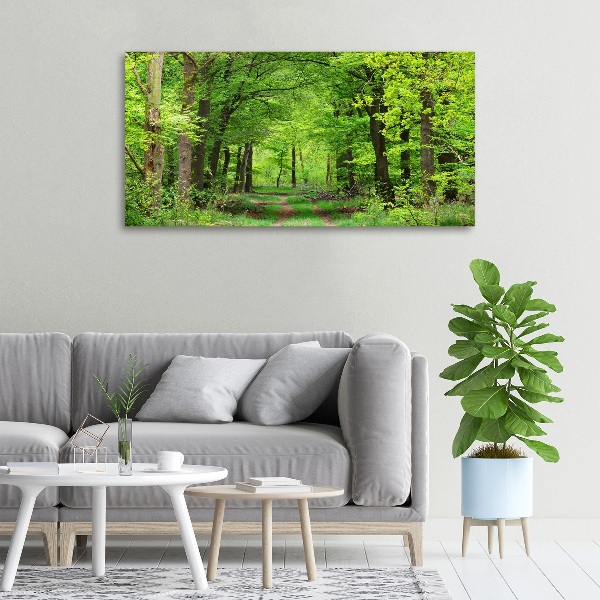 Quadro su tela Foresta primaverile