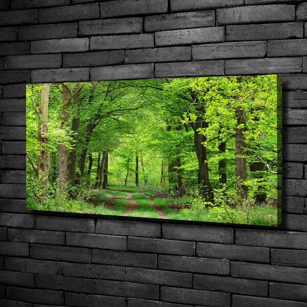 Quadro su tela Foresta primaverile