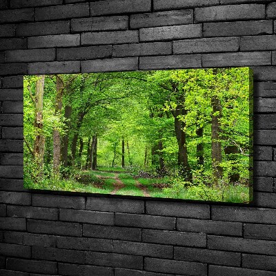 Quadro su tela Foresta primaverile