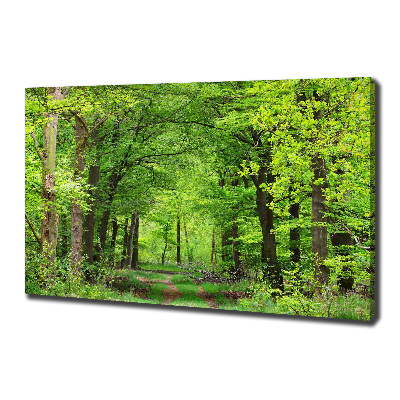 Quadro su tela Foresta primaverile