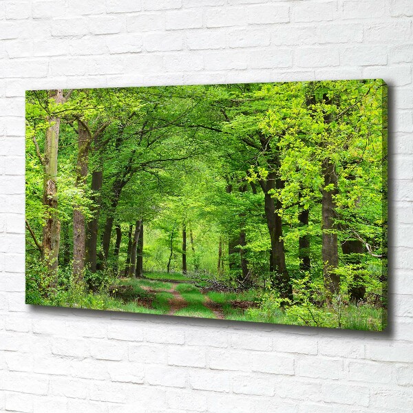 Quadro su tela Foresta primaverile
