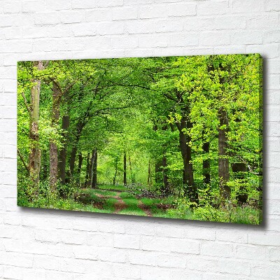 Quadro su tela Foresta primaverile