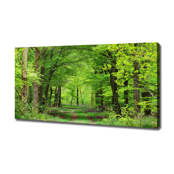 Quadro su tela Foresta primaverile