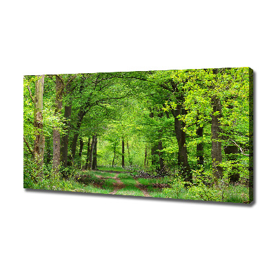 Quadro su tela Foresta primaverile
