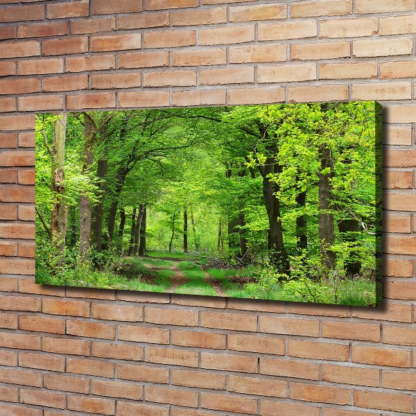 Quadro su tela Foresta primaverile