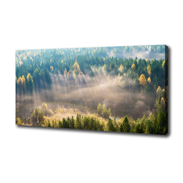 Quadro su tela Nebbia nella foresta